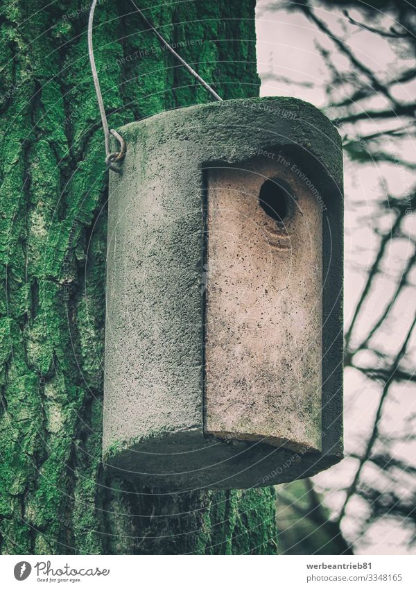 Wooden crafted birdhouse hanging on a tree bark Environment Nature Autumn Winter Garden Park Living or residing Tree bark Birdhouse craftmanship textured Forest