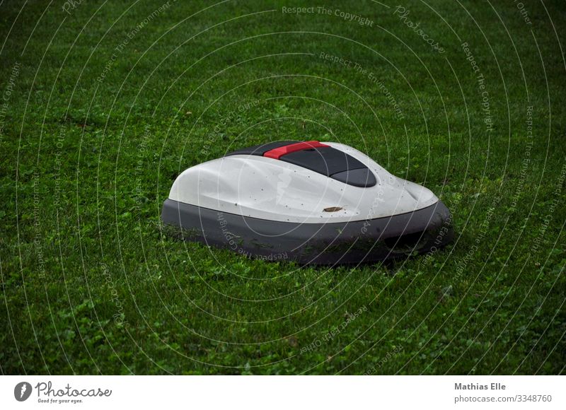 Lawn mower robot Landscape Plant Grass Garden Gray green White Lawnmower Mow the lawn Robot Lawn mowing robot Comfortable Helper Garden helper Gardening