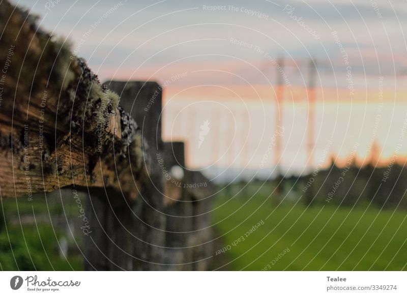 Sunset behind a mossy fence Nature Landscape Sky Clouds Horizon Sunrise Sunlight Spring Beautiful weather Tree Grass Field Manmade structures Architecture Wood