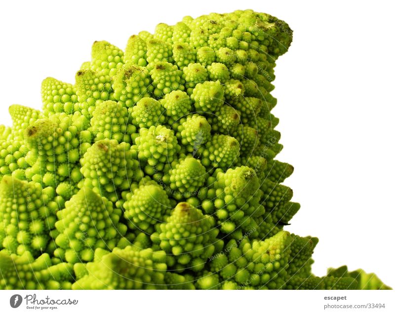 Pollen Flowers Green Blossom Summer Nature Macro (Extreme close-up)