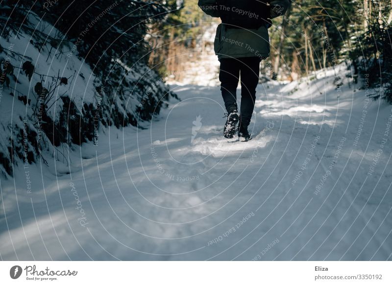 Man walks in the forest through the snow Winter Snow To go for a walk hike Winter forest off Going Cold Forest Nature by oneself Snowscape