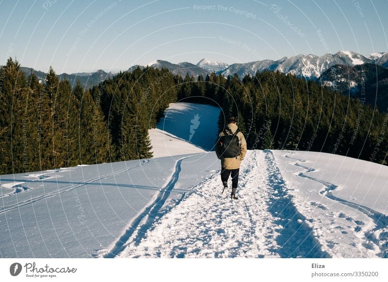 A man in the snow on a mountain on a sunny day with a view of the Alps. Hiking in winter. Human being Masculine Young man Youth (Young adults) Man Adults