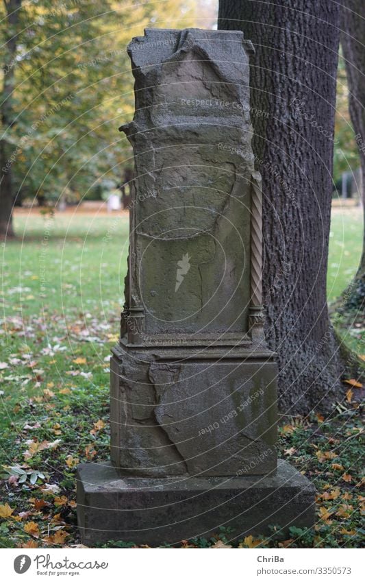 Old Gravestone Art Work of art Sculpture Nature Landscape Animal Autumn Deserted Park Monument Tombstone Sign Ornament Think Dream Sadness Dark Gloomy Emotions