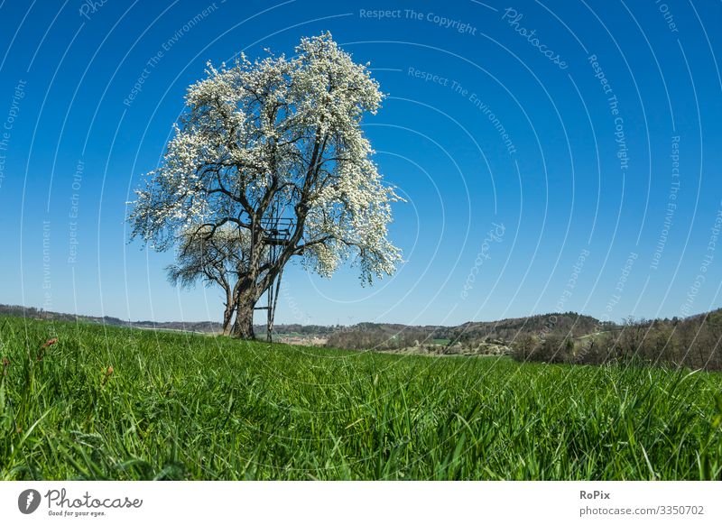 In the grass on a sunny spring day. Lifestyle Style Healthy Wellness Harmonious Meditation Leisure and hobbies Hiking Work and employment Gardening Workplace