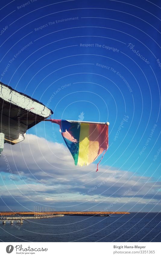 rainbow flag Calm Beach Nature Landscape Water Sky Clouds Weather Beautiful weather Wind Waves Coast Lakeside Bay Deserted Hut Building Boating trip Harbour