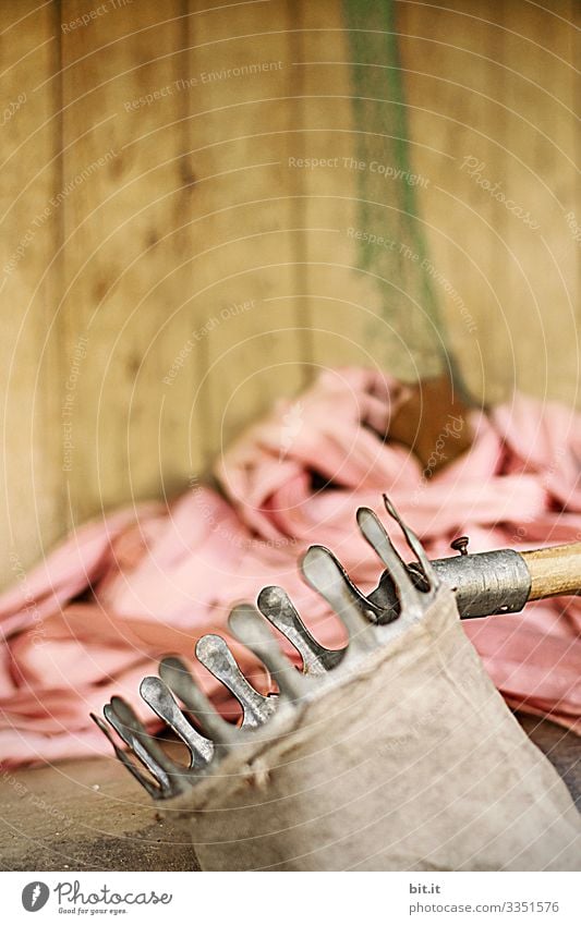 Old apple picking garden equipment is in a garden, in front of a pink cloth and wooden wall. The device rests on the ground during the break, the harvest of the fruit, unused and waiting to be used.