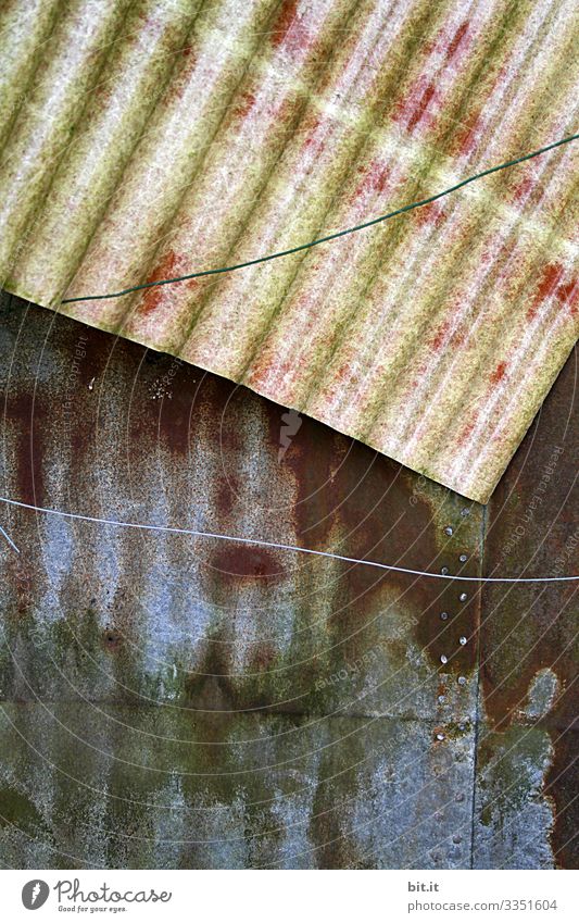 Two old, dirty corrugated sheets on a building site with a taut wire in front of them are lying in an old garden as garbage. Wire Tin Construction site