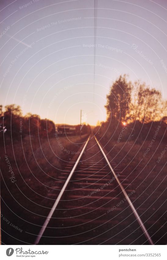 Railway track in landscape at sunset Transport Means of transport Traffic infrastructure Public transit Rush hour Logistics Train travel Moody Thrifty