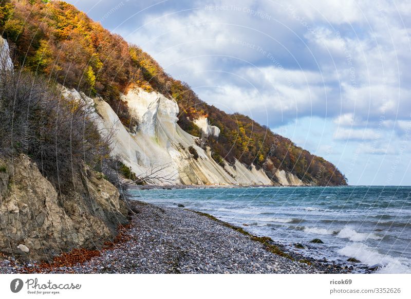 Baltic Sea coast on the island of Moen in Denmark Relaxation Vacation & Travel Tourism Beach Ocean Waves Nature Landscape Water Clouds Autumn Tree Forest Rock