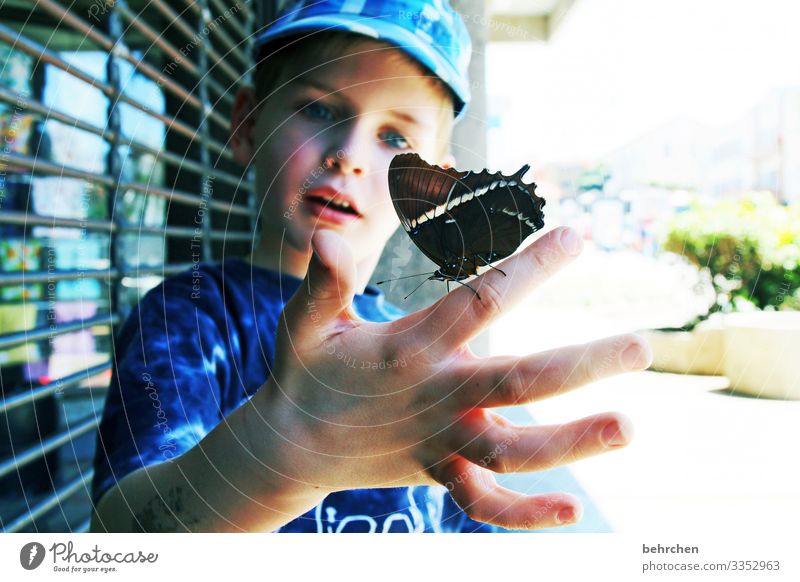 the wonders of this world Costa Rica Butterfly Child Infancy Colour photo Exterior shot Nature Vacation & Travel Adventure Trip Tourism Freedom Wanderlust