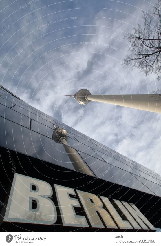 twins Sky Clouds Beautiful weather Tree Berlin Town Capital city Downtown Tower Facade Window Tourist Attraction Landmark Television tower Berlin TV Tower Sign