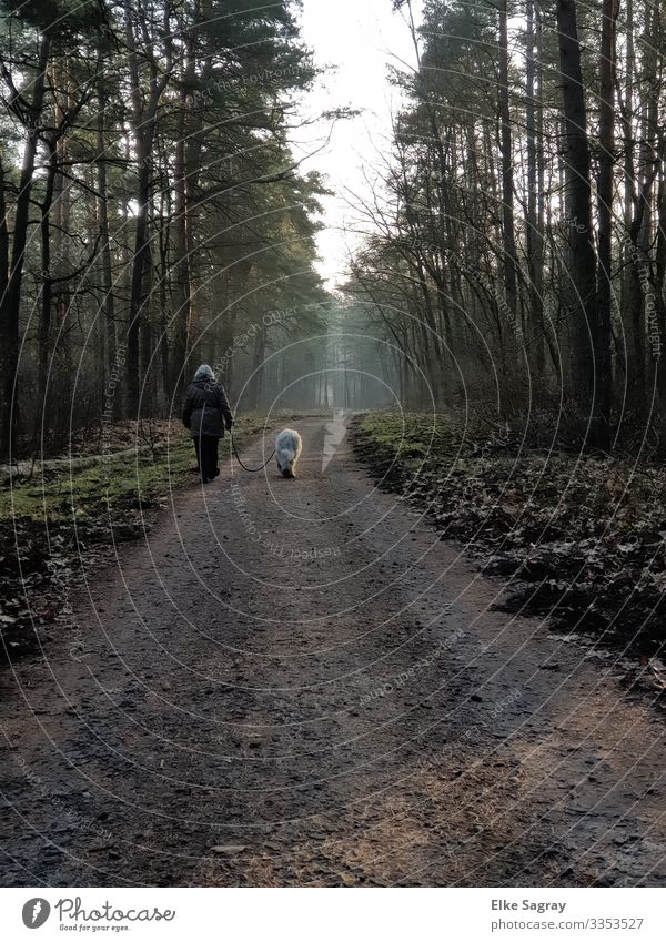 Morning walk in the forest Human being Feminine Woman Adults Female senior 1 60 years and older Senior citizen Nature Landscape Plant Animal Earth Winter Pet