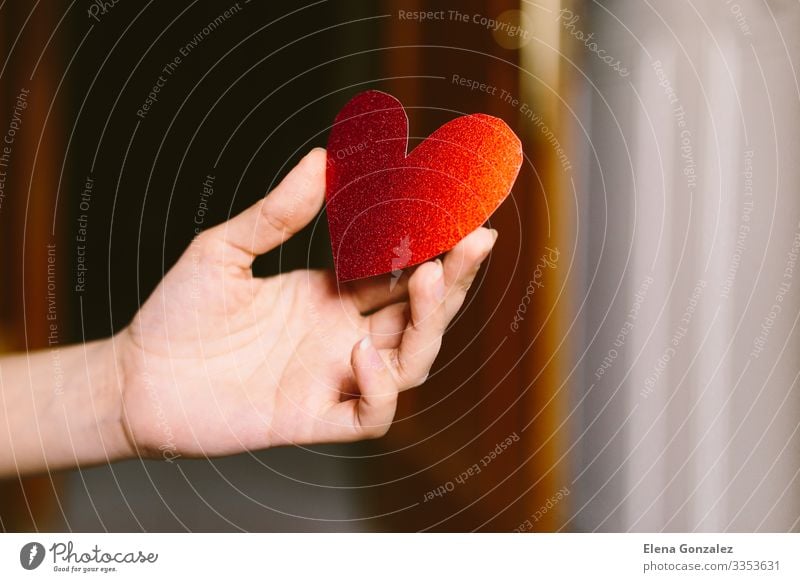 Young woman with red glitter heart shaped cardboard. Feasts & Celebrations Valentine's Day Office work Human being Woman Adults Youth (Young adults) Hand Heart