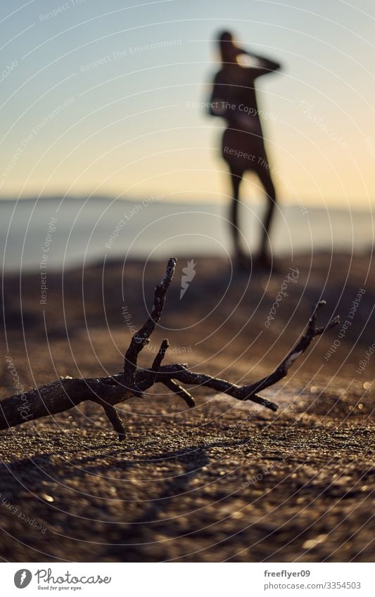 Foreground of a dead stick, with a defocused bacground of a woman posing background foreground vertical nature outdoors copy space top copy-space shallow depth