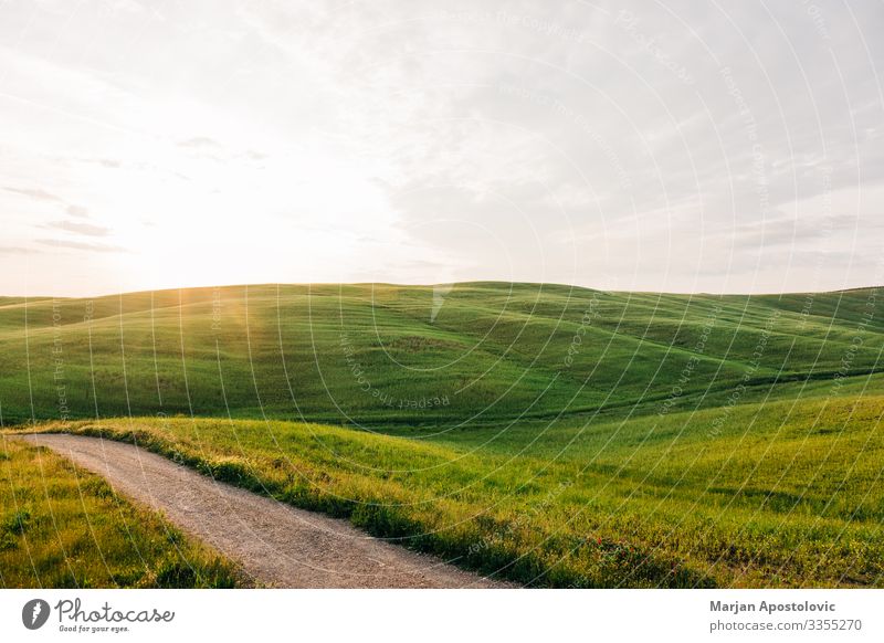 Beautiful countryside landscape in Tuscany, Italy Environment Nature Landscape Sun Sunrise Sunset Spring Summer Beautiful weather Flower Grass Meadow Hill