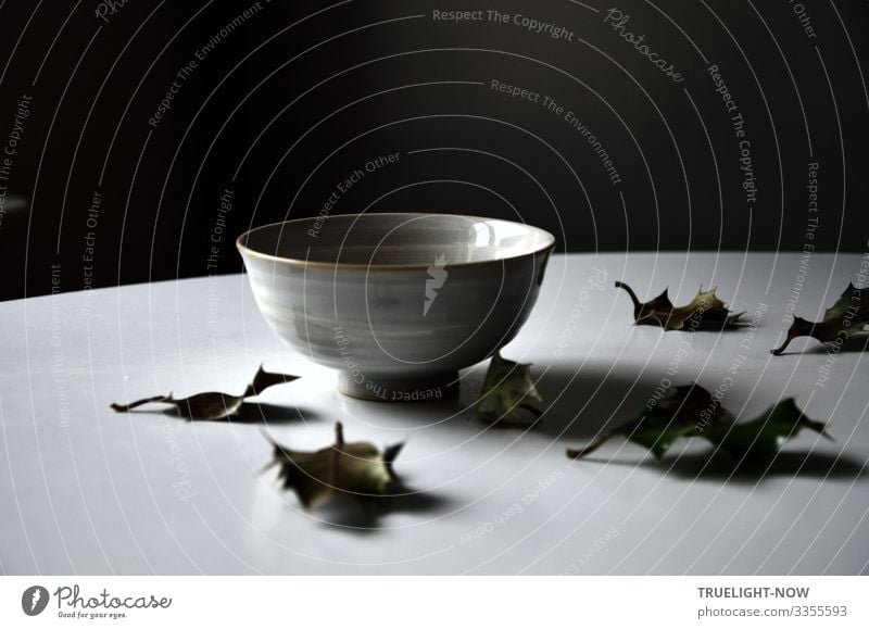 Empty Chinese tea bowl in the morning light on a white round table with some fallen leaves of holly in front of a dark background: An attempt at the Buddhist Heart Sutra