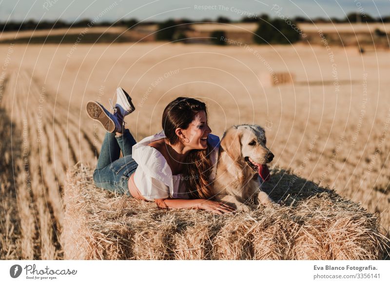 young beautiful woman walking with her golden retriever dog on a yellow field at sunset. Nature and lifestyle outdoors Summer Beautiful Fashion