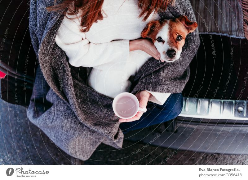 woman and cute jack russell dog enjoying outdoors at the mountain into the car. Travel concept. winter season. top view Woman Dog Car Snow Mountain