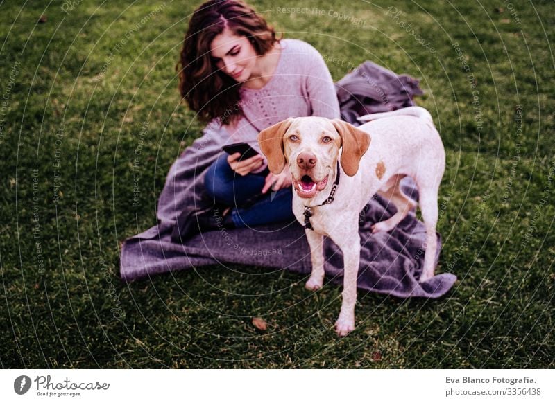 young woman with her dog at the park. woman using mobile phone. autumn season Cellphone Woman Dog Photography Technology Park Youth (Young adults) Exterior shot