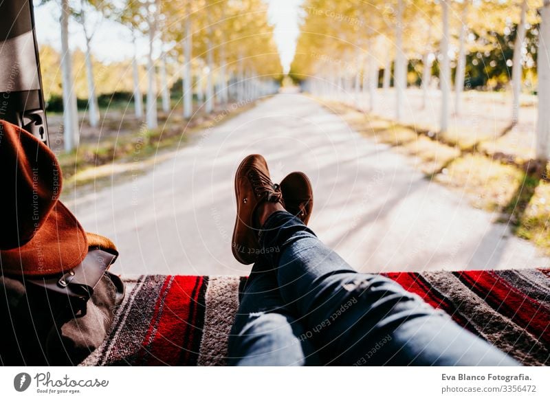 cute jack russell dog and woman legs relaxing in a van. travel concept. selective focus on trees Woman Resting Van Legs Unrecognizable Tree Camping