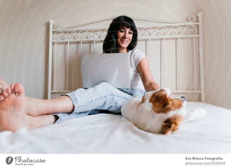 young caucasian woman on bed working on laptop. Cute small dog lying besides. Love for animals and technology concept. Lifestyle indoors Woman