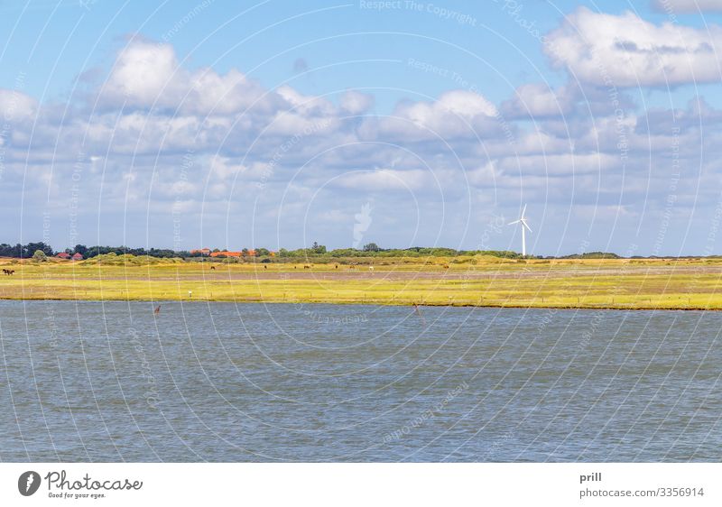 Spiekeroog in East Frisia Summer Ocean Island Landscape Water Coast North Sea Village Authentic East Frisland Friesland district Germany Northern Germany