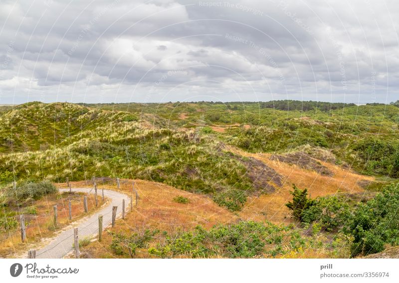 Spiekeroog in East Frisia Summer Island Nature Landscape Plant Coast Lanes & trails Authentic East Frisland Friesland district Overgrown Germany