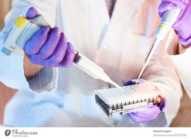 Life science professionals pipetting master mix solution into the PCR 96 well micro plate using multi channel pipette. Plate Health care Medication