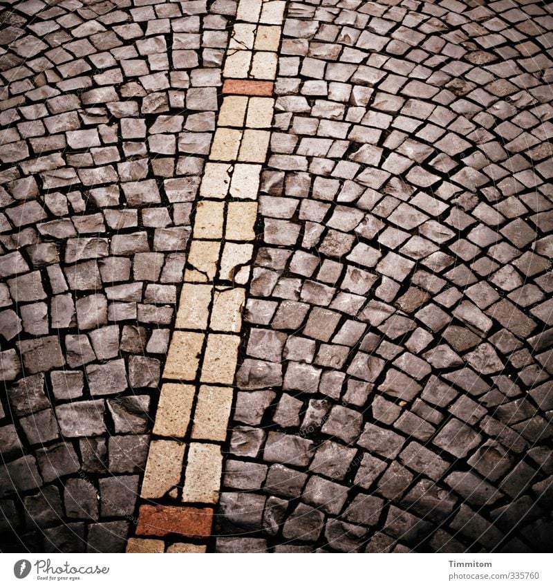 There. Town Old town Street Lanes & trails Stone Simple Firm Natural Esthetic Paving stone Line Dark Colour photo Subdued colour Exterior shot Deserted