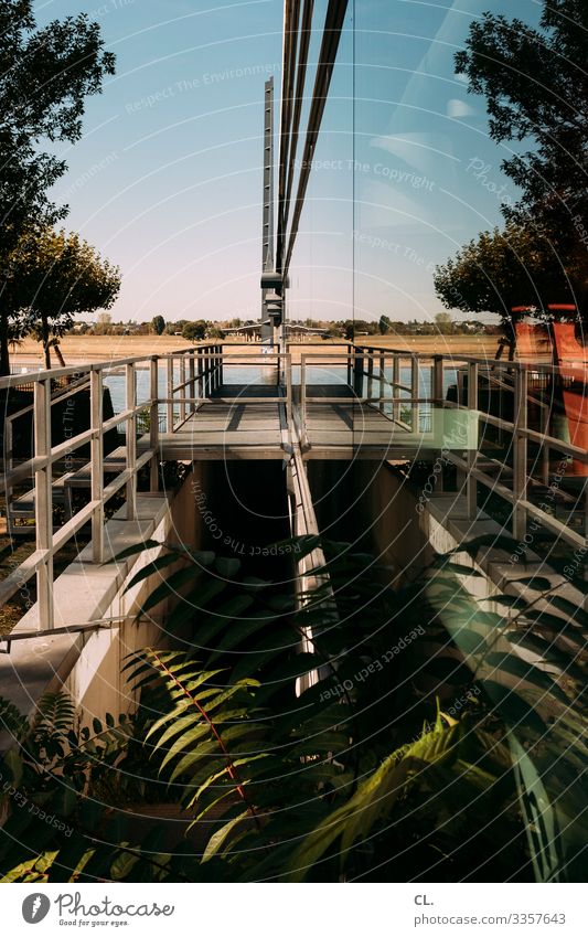 On the Rhine Cloudless sky Summer Beautiful weather Plant Tree River Duesseldorf Town Deserted Bridge Building Architecture Facade Handrail Complex Nature