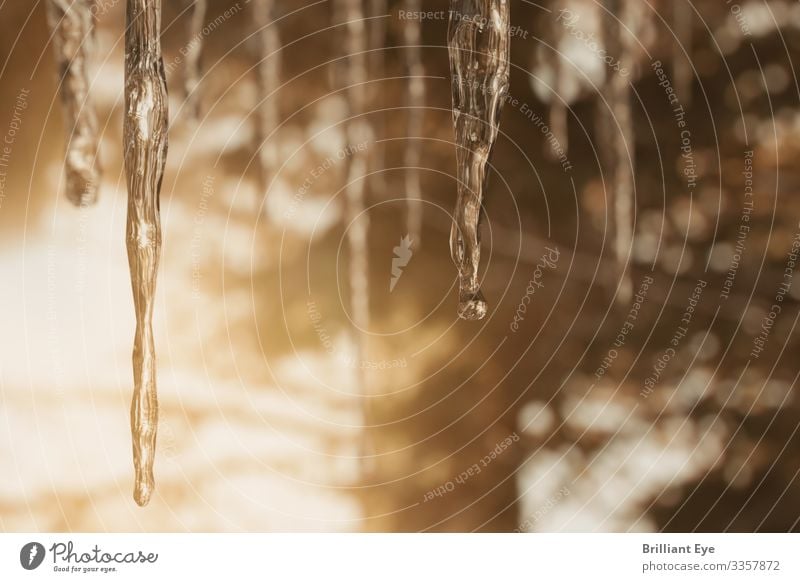 icicles Winter Nature Ice Frost Warmth Forest Esthetic Simple Glittering Near Natural Above Cold Depth of field Three-dimensional Icicle Melt Sunlight Dawn Many