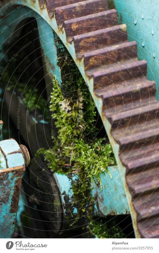 long rest Gearwheel Moss Old Rust Machinery Broken Detail Close-up Gear unit Rotate Steel Exterior shot Colour photo Technology Metal Mechanics Deserted