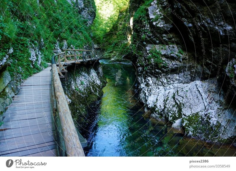 Wooden path alongside the Vintgar Gorge Vacation & Travel Tourism Summer Hiking Environment Nature Landscape Moss Park Rock Alps Canyon River Waterfall Bridge