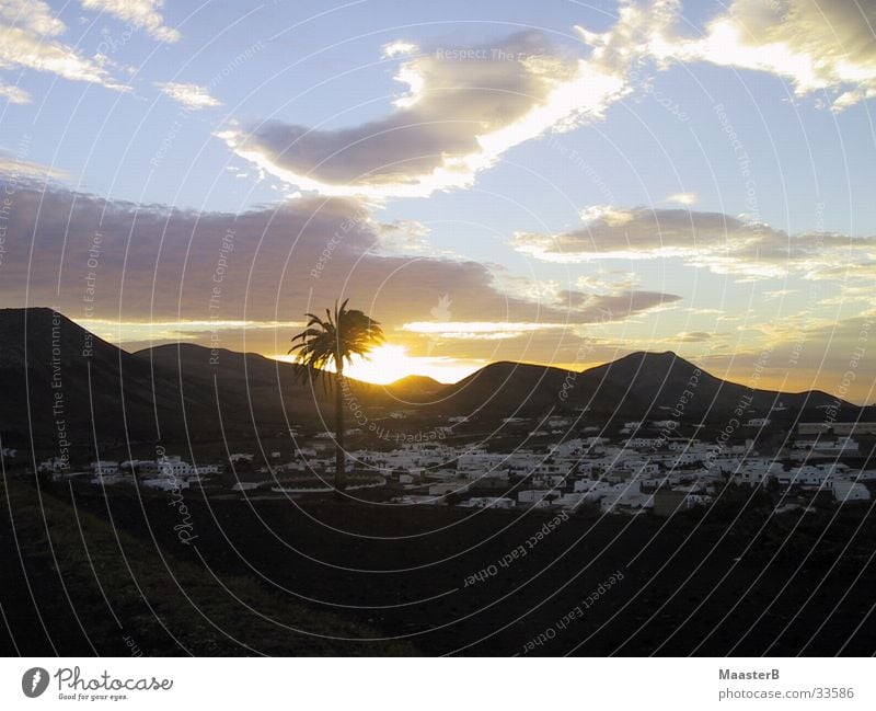 oasis Lanzarote Oasis Palm tree Sunset Clouds Light Village Canaries Europe Mountain Desert