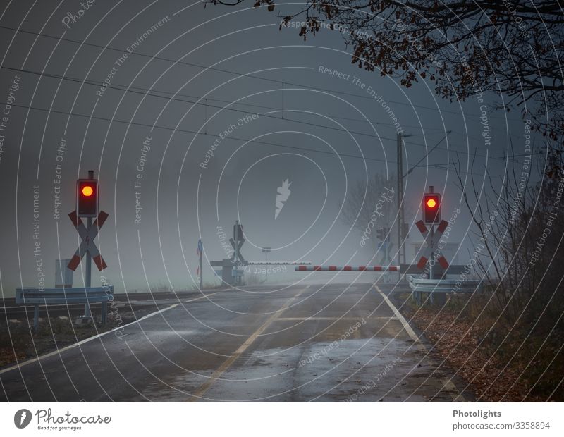 level crossing Environment Clouds Autumn Bad weather Fog Rain Deserted Train station Railroad crossing Transport Traffic infrastructure Logistics Train travel