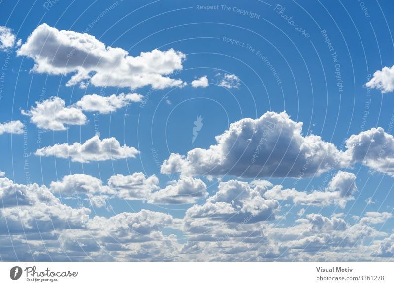 Fair weather cumulus clouds Beautiful Summer Environment Nature Landscape Sky Clouds Climate Weather Bright Natural Blue White Colour Pure Blue sky clear