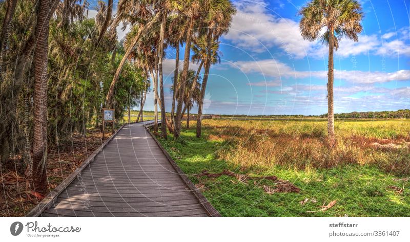 Bird watching boardwalk in the marsh Trip Nature Landscape River Blue Brown Green Myakka State Park platform bird watching Myakka river Sarasota Florida