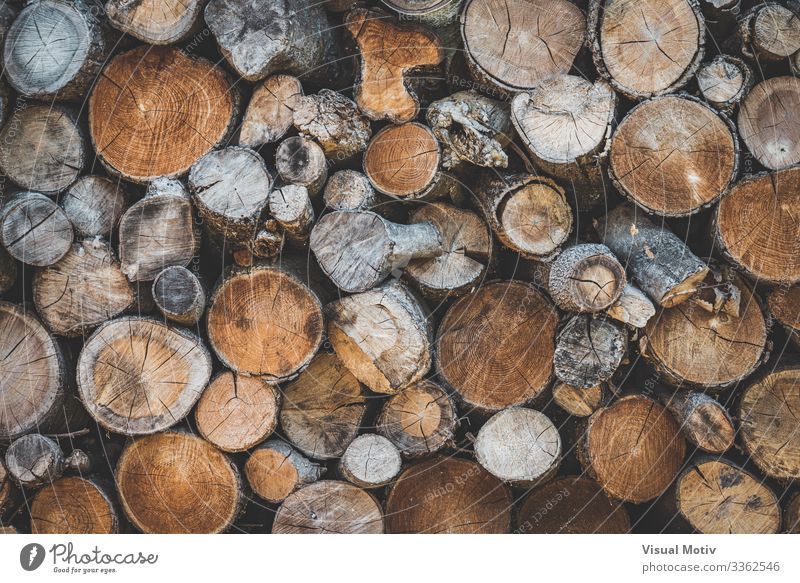 Detail of stacked wooden logs Environment Nature Tree Forest Wood Old Natural Brown Colour Stacked Wood logs Wood Logs abstract photography Timber trunk