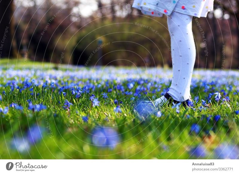 Blue meadow Feminine Child Girl Legs 1 Human being Nature Spring Plant Flower Grass starflower Park Meadow Tights Blossoming To enjoy Illuminate Dream Green