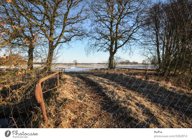 outdoors on a sunny winter morning Lifestyle Design Healthy Fitness Wellness Senses Relaxation Leisure and hobbies Hiking Economy Agriculture Forestry