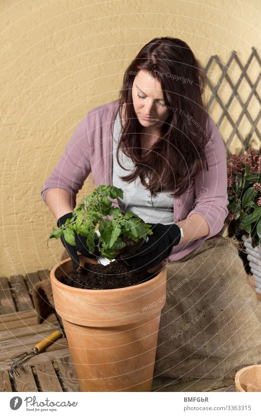 Work on the balcony garden Lifestyle Joy Leisure and hobbies Garden Human being Feminine Young woman Youth (Young adults) Woman Adults 1 30 - 45 years Nature