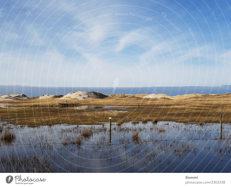 Flood in the dunes Ocean North Sea Island Beach Dune Lake High tide Sand Coast Schleswig-Holstein Winter Sun Marram grass Tourism Exterior shot Nature wide Blue