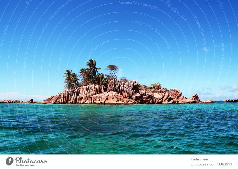 Small but fine Sunlight Contrast Day Deserted Exterior shot Colour photo Rock Praslin turquoise Paradise Saint-Pierre Palm tree Dream island Seychelles