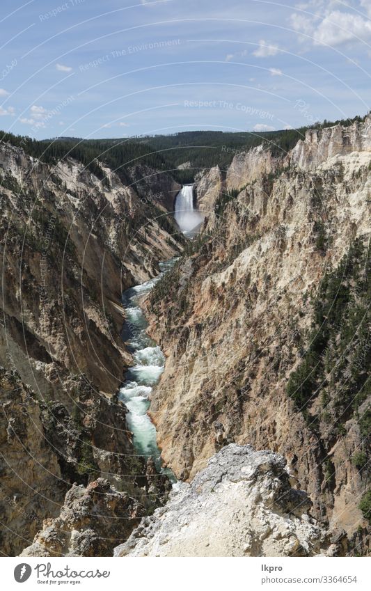 yellowstone national park the nature Swimming pool Vacation & Travel Tourism Mountain Nature Landscape Park Forest Volcano Hot Natural Yellowstone National Park