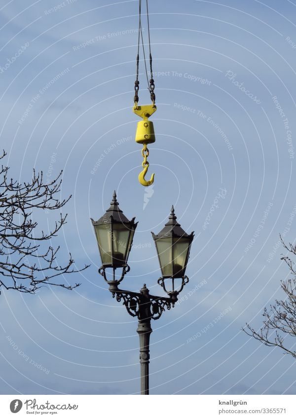 There's a snag Sky Clouds Winter Plant Tree Checkmark Lamp post Street lighting Old Historic Tall Retro Town Blue Black Silver Branch Colour photo Exterior shot