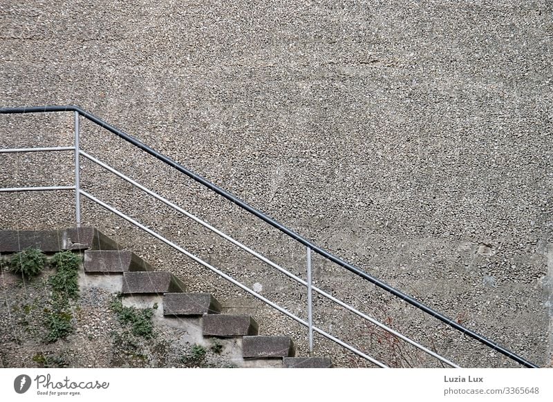 Stairs, up Moss Foliage plant Town Wall (barrier) Wall (building) Lanes & trails Stone Concrete Old Brown Gray Might Massive Steep Colour photo Subdued colour