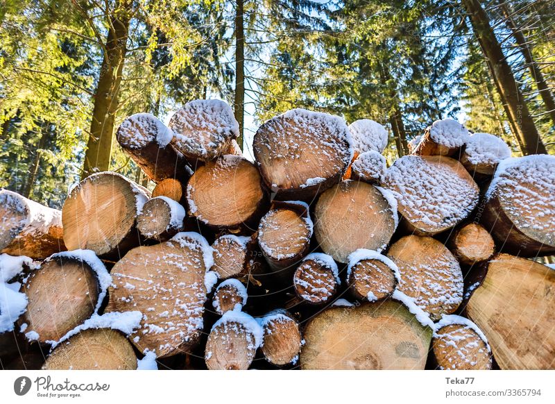 #Winterwood Environment Nature Landscape Weather Beautiful weather Ice Frost Hail Snow Snowfall Tree Esthetic Wood winter wood Tree trunk Forestry Colour photo