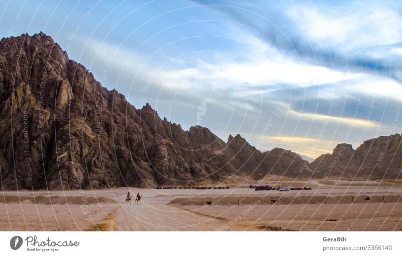 mountains in the desert Sharm El Sheikh Egypt Exotic Vacation & Travel Mountain Nature Landscape Sand Sky Clouds Horizon Rock Stone Walking animals Camel