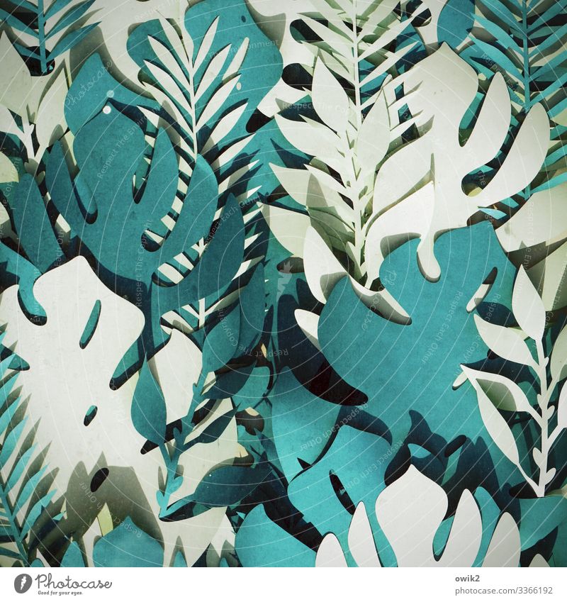 artificial respiration Design Leaf Leaf canopy Artificial Paper Many Turquoise White Low-cut Work of art False Decoration Colour photo Exterior shot Detail