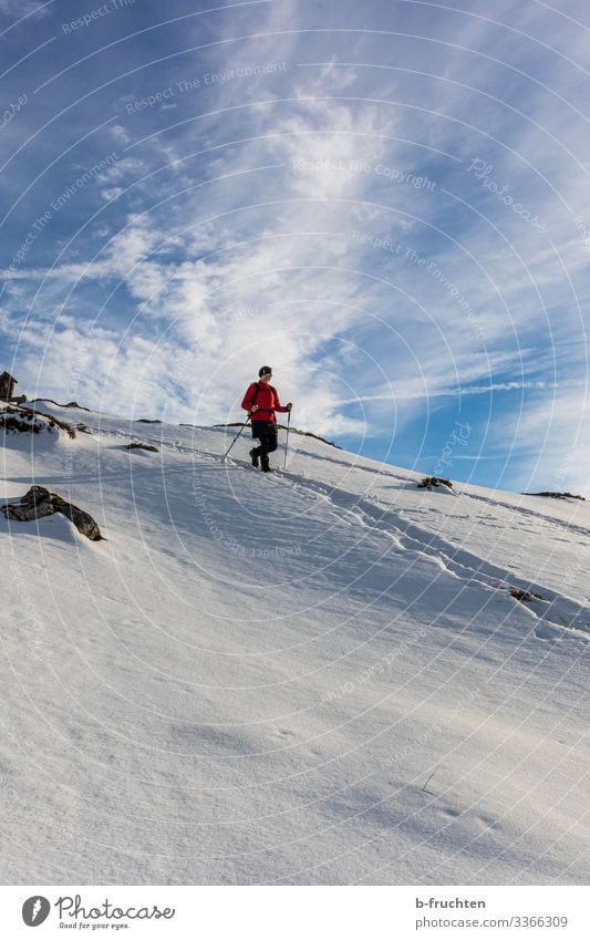 woman hiking in the snow, winter Woman Snow mountains Sunset Alps Berchtesgaden Alpes Tracks Winter hike Backpack go on tour Back-light Idyll out Twilight